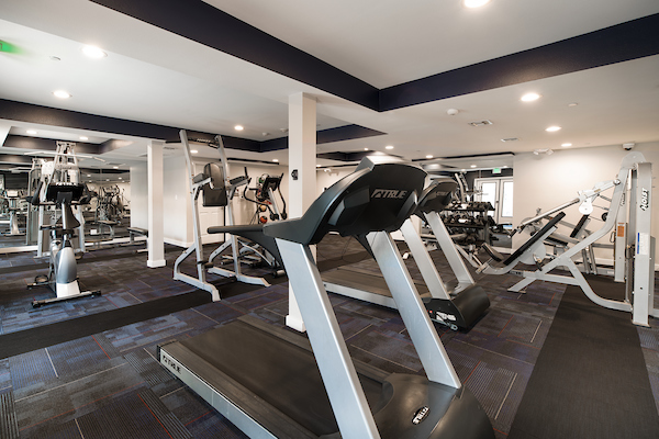 Fitness center with cardio and strength training equipment.