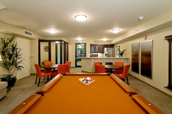 Community Room with Pool Table