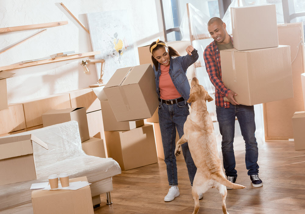 Happy couple and dog in an apartment with moving boxes. 
