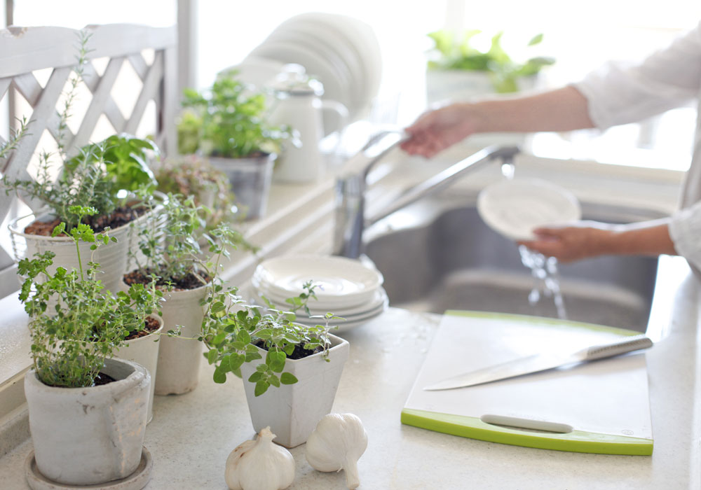 Plants on kitchen counter while a woman washes dishes