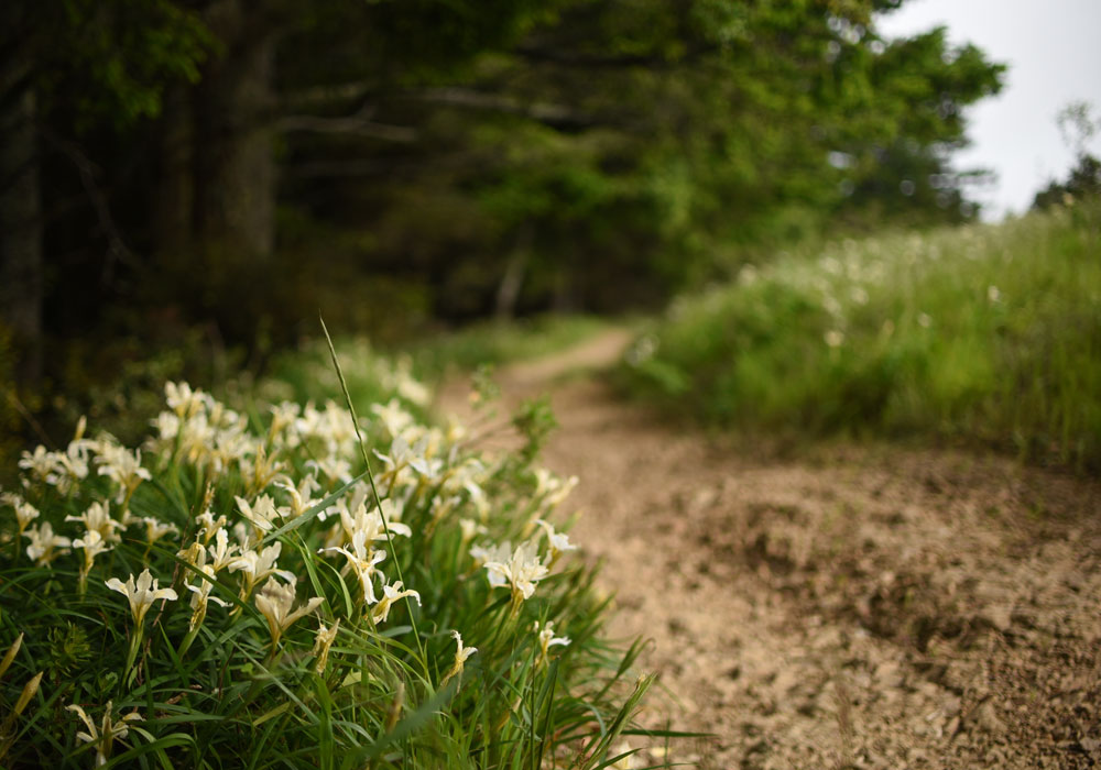 Hiking in the San Francisco Bay Area
