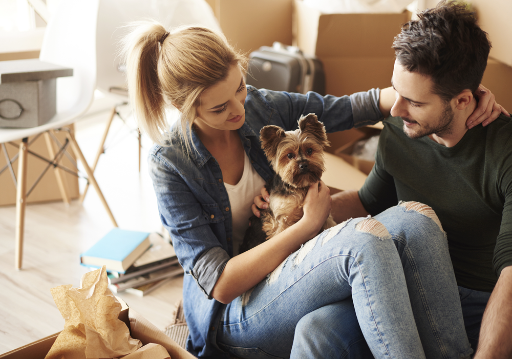 Man and woman cuddling dog near moving boxes after relocating