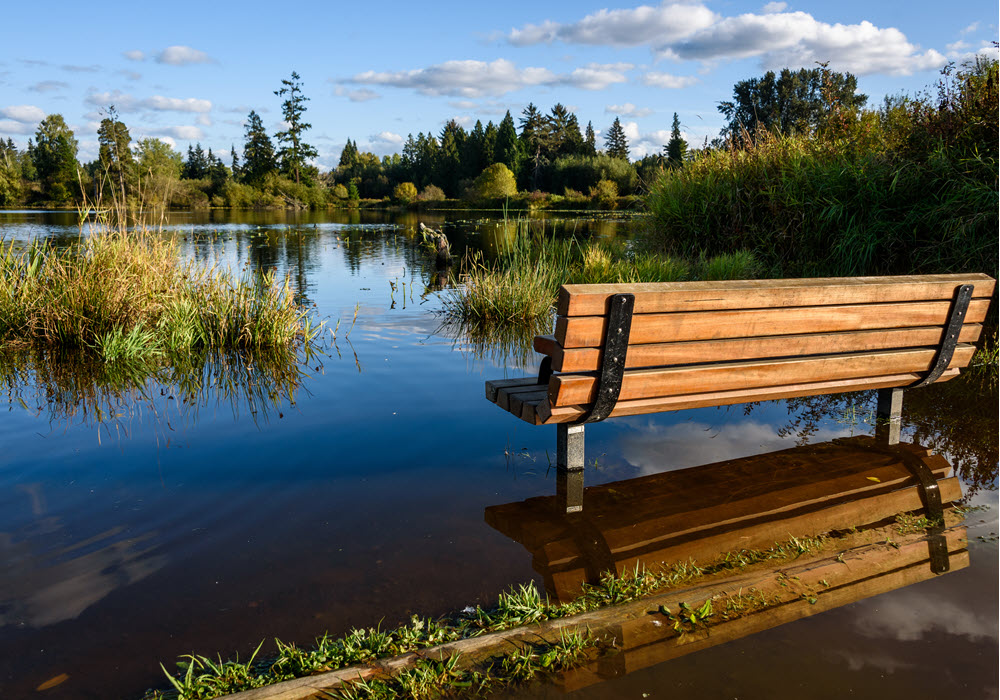 Weowna Park featuring bench outlooking lake.