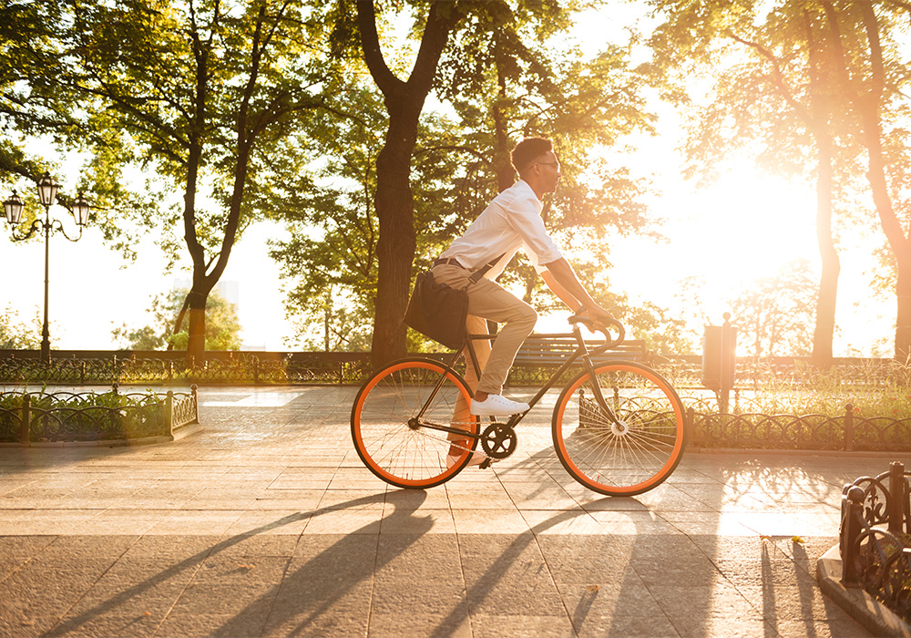 The Art of Apartment Hunting - Tips and Tricks for finding the perfect place