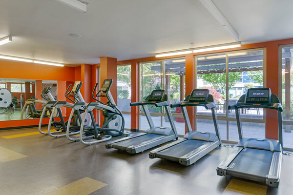 Fitness center with cardio equipment.