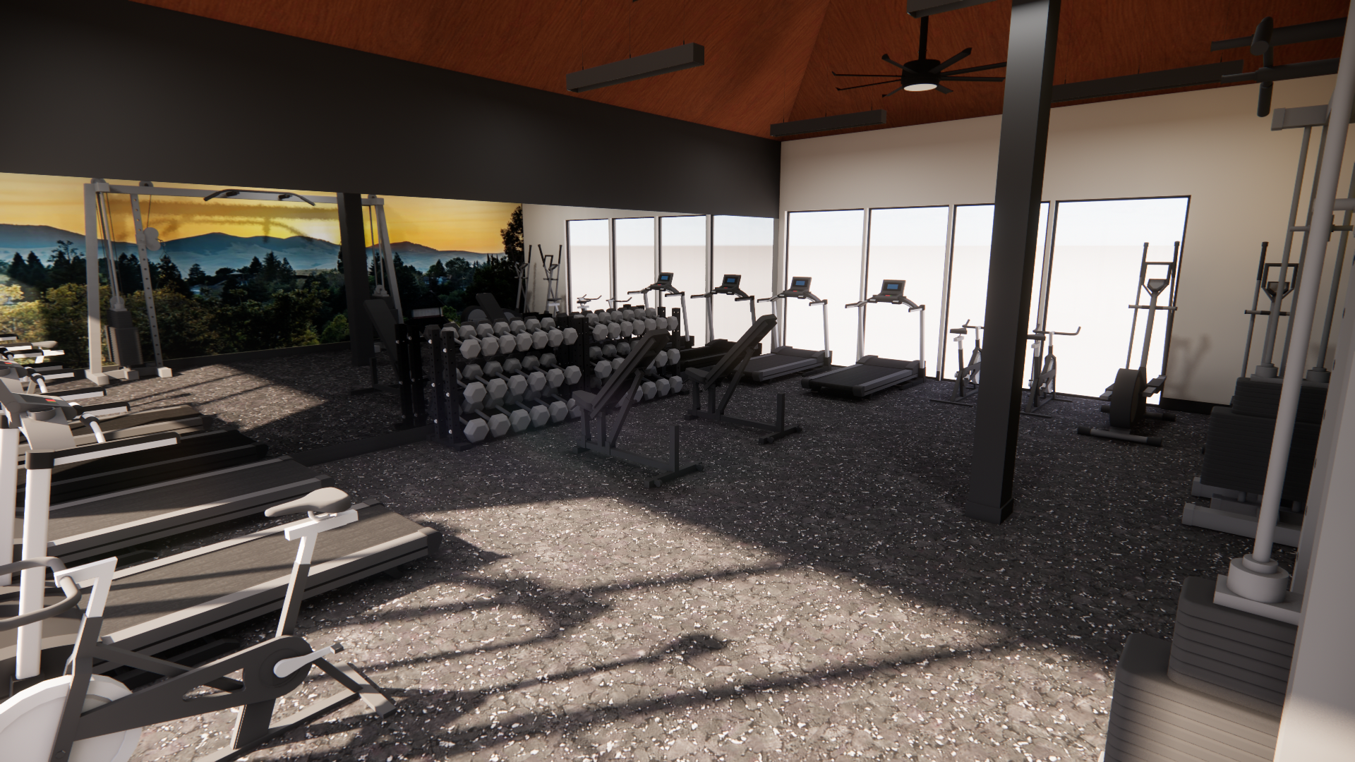 Lafayette Highlands gym with modern cardio machines and free weights