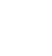 Patent 523 Logo