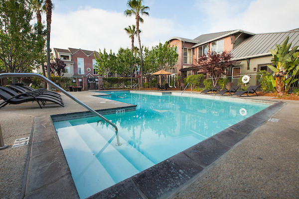 Outdoor swimming pool area surrounded by landscaped foliage.