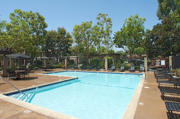 Outdoor swimming pool area with lounge seating surrounded by trees.